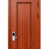 Cửa Thép Vân Gỗ 1 Cánh KL001_1OV_TK